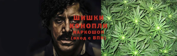 индика Бородино