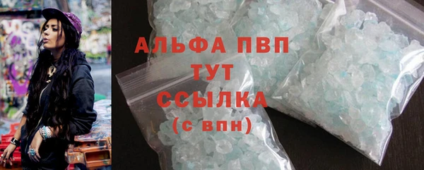 индика Бородино