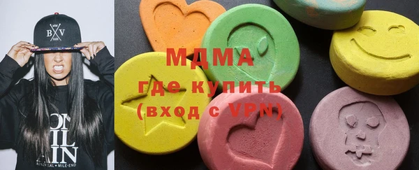 индика Бородино
