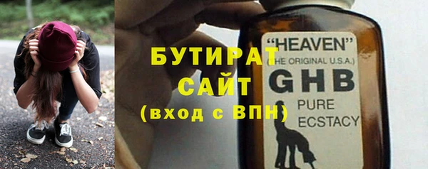 индика Бородино
