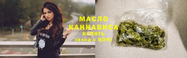 индика Бородино