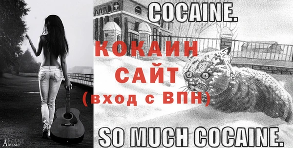 индика Бородино