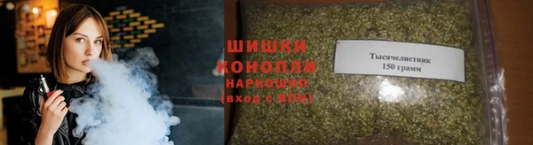 индика Бородино