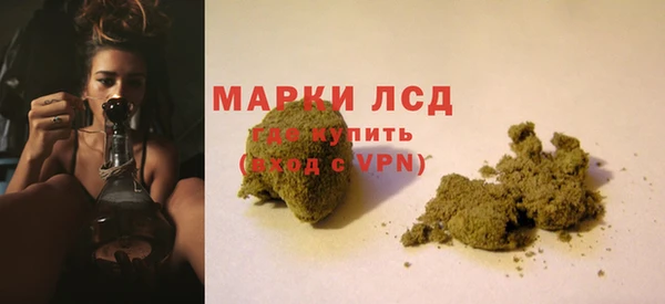 индика Бородино