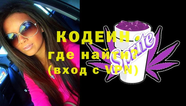 индика Бородино