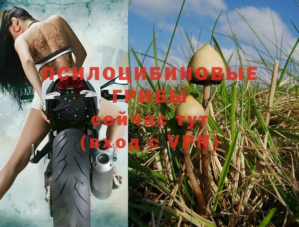 амф Михайловск