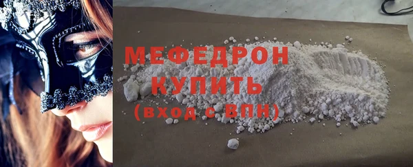 индика Бородино