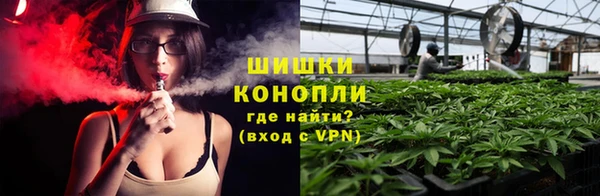 индика Бородино