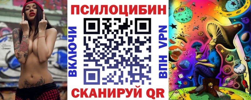Купить закладки  Знаменск  Галлюциногенные грибы Psilocybine cubensis 